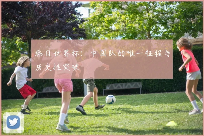 韩日世界杯：中国队的唯一征程与历史性突破